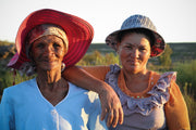 Lemonaid ChariTea - Bio und Fairtrade Tee - Fairer Handel